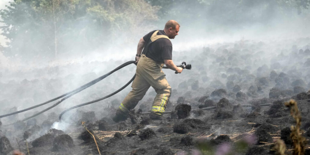 Wildfires Threaten Wildlife in UK
