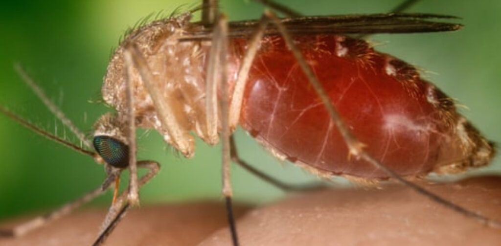 Scientists Urge UK to Boost Overseas Disease Control Efforts Scientists Urge UK to Boost Overseas Disease Control Efforts