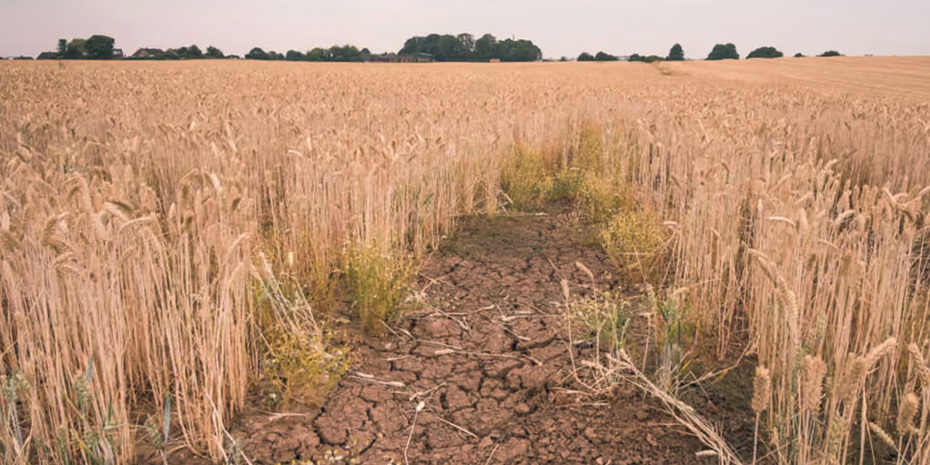 Report Warns Climate Change Could Push 1M Brits Into Poverty Report Warns Climate Change Could Push 1M Brits Into Poverty