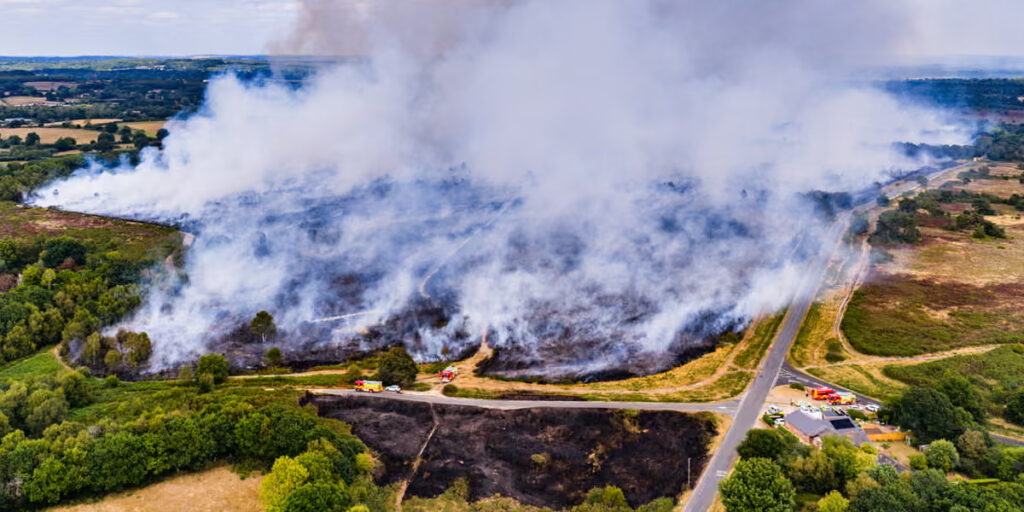 UK Wildfires Hit Record Levels in 2025 UK Wildfires Hit Record Levels in 2025