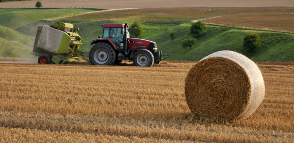 Post-Brexit UK farm exports to EU fall 37% Post-Brexit UK farm exports to EU fall 37%