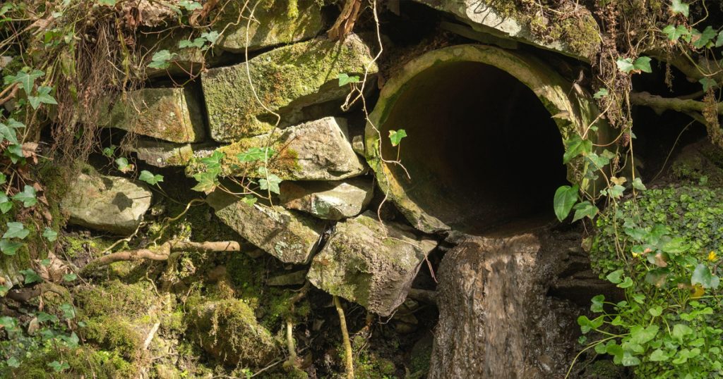 Welsh Water Ordered to Pay £44.7m after Pollution Breaches