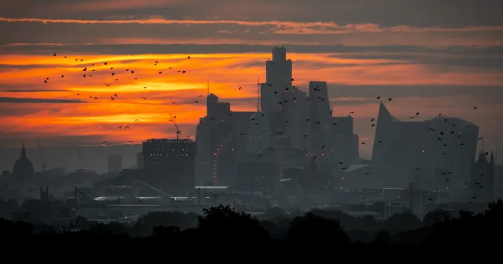 London Housing Crisis Linked to 700 Deaths London Housing Crisis Linked to 700 Deaths