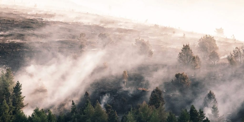 UK Heatwave Sparks Extreme Wildfire Warning